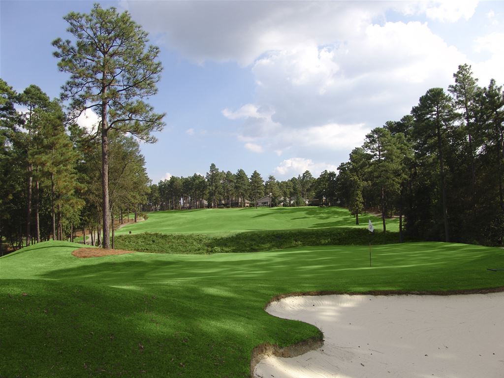 Pinewild Holly Course
